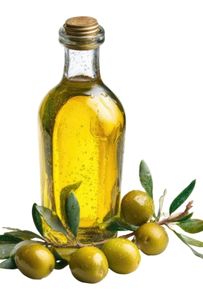 Olive Oil
