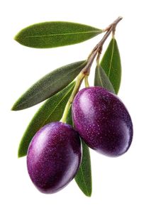 Kakadu Plum Extract